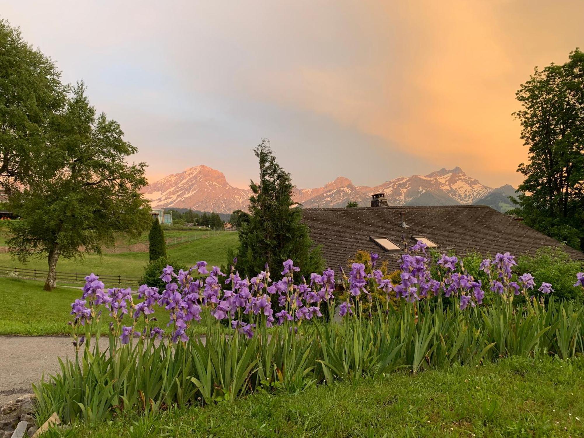 Апартаменты Chalet La Renarde Вилларс-Сур-Оллон Номер фото