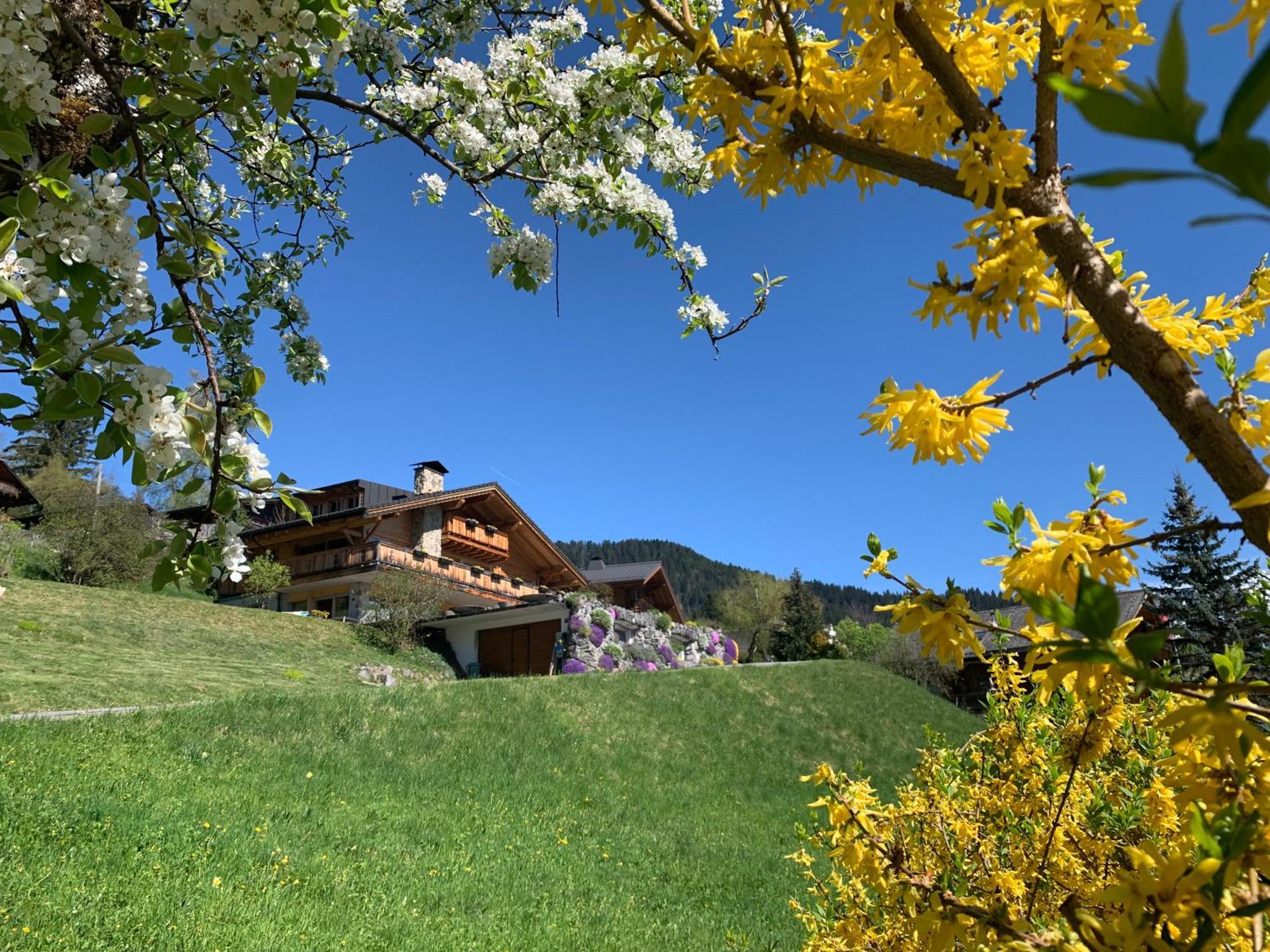 Chalet La Renarde Вилларс-Сур-Оллон Экстерьер фото